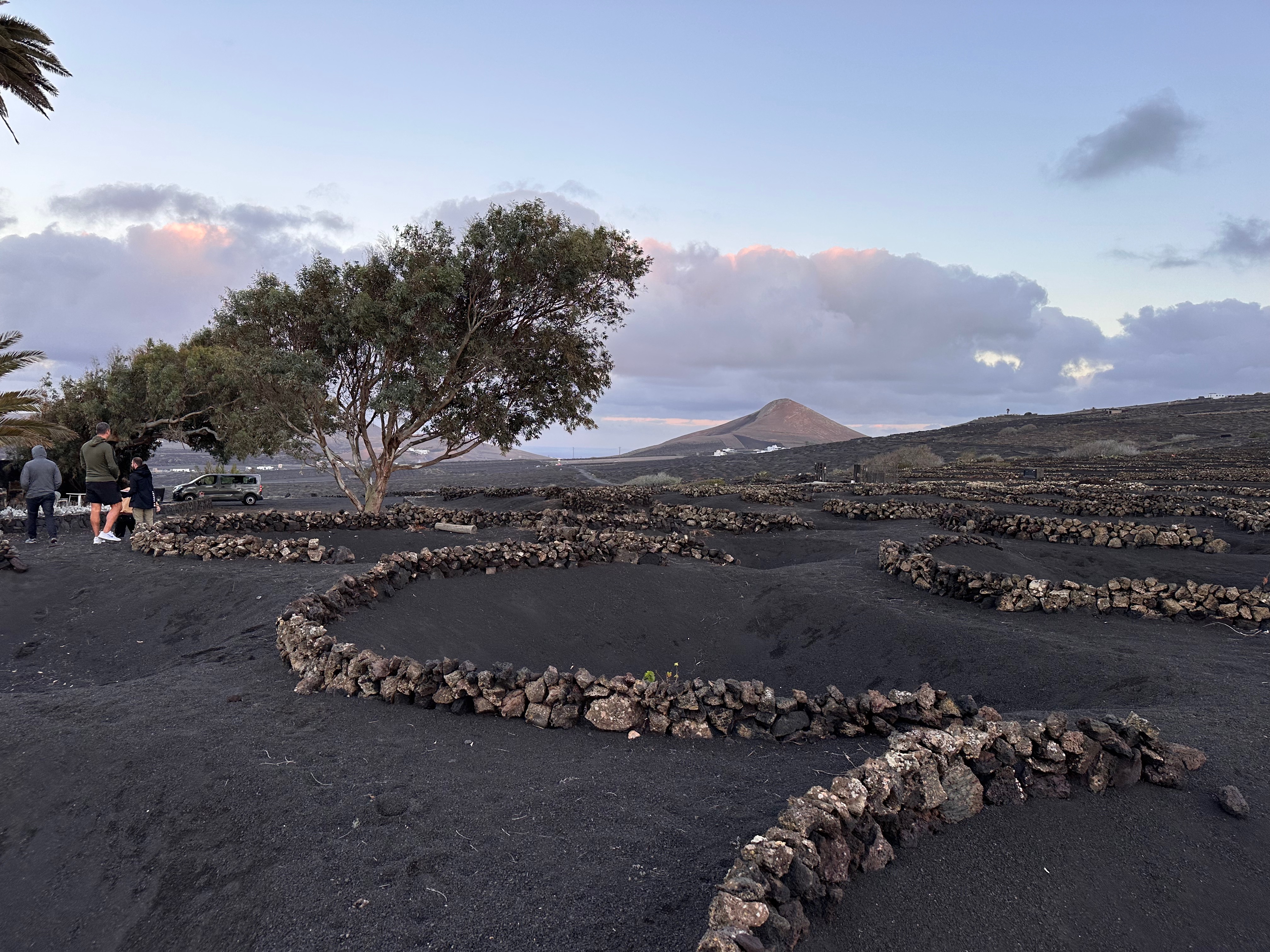 imagen de Fragmentos